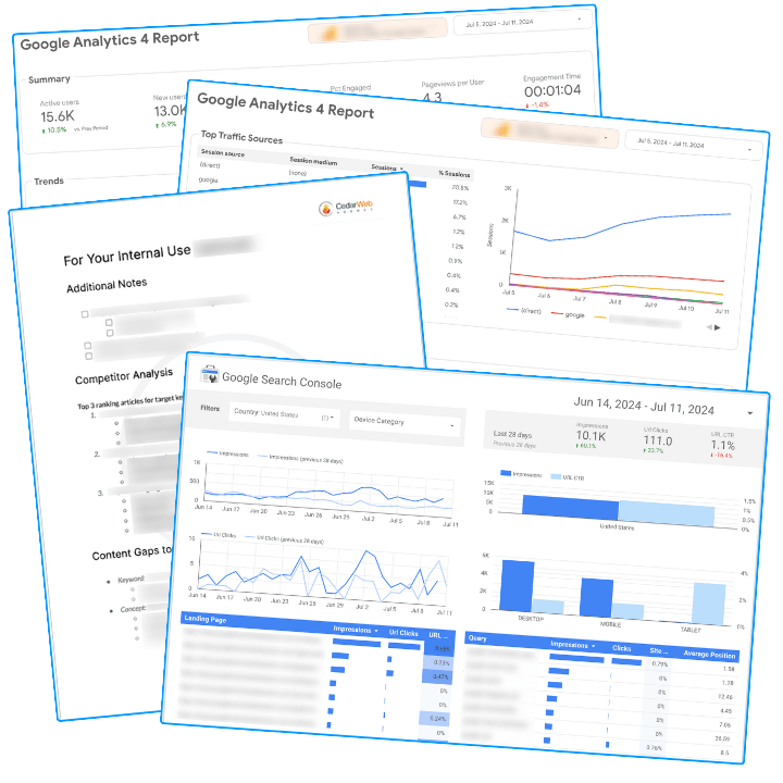 Screenshots of example reports and SEO competitor analysis