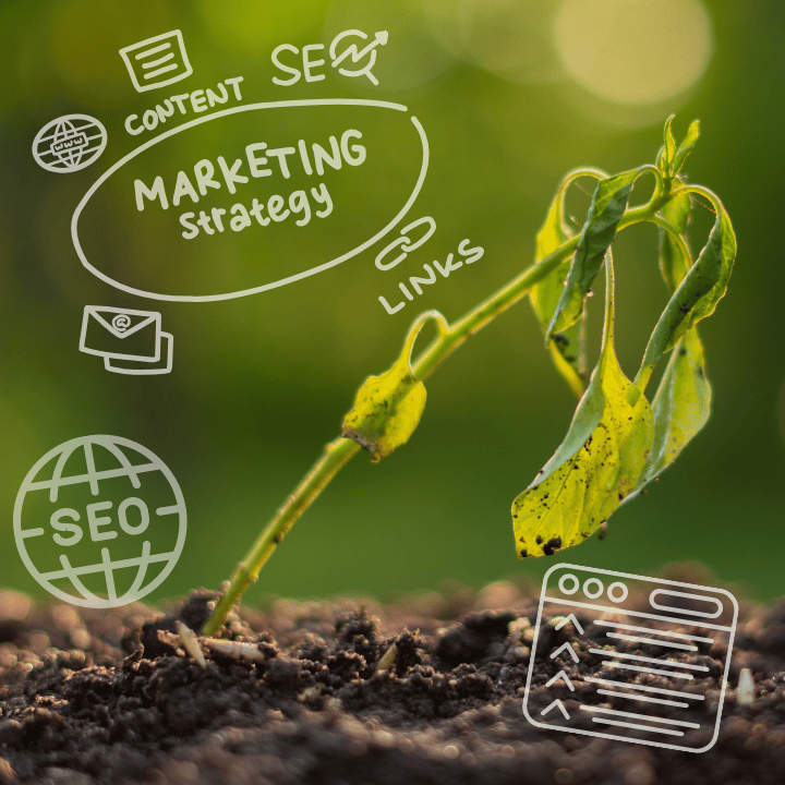 A drooping plant with a thought bubble: "Why is SEO so hard?"